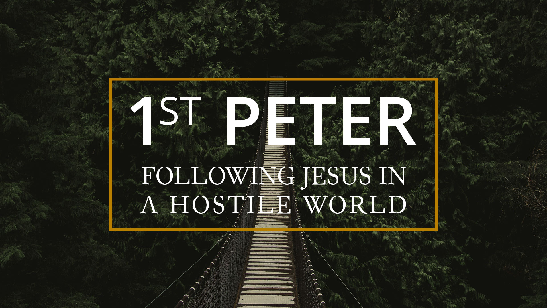 1 Peter 2 4 8 God s Building Program Grace Community Bible Church