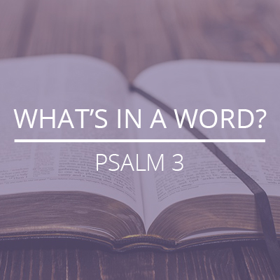 Psalm 3 – “What’s In A Word?”